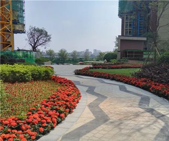朗泓龙园大观 