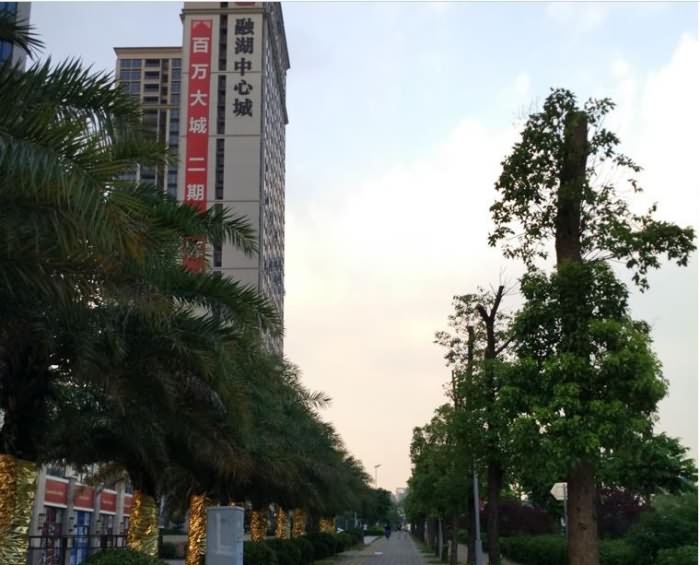 融湖中心城实景图 