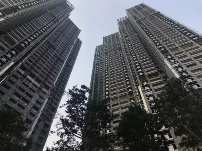 中洲滨海华府一期 