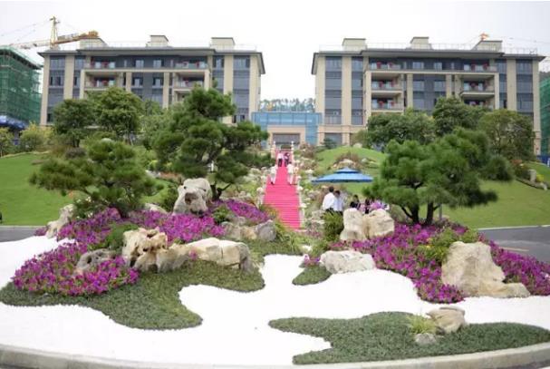 碧桂园观麓花园实景拍摄图 