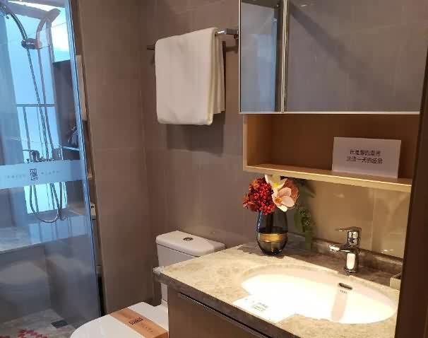 佳兆业金御佳园样板房图 