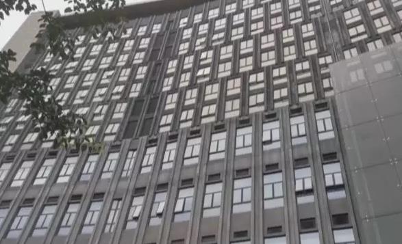 桃源商务大厦A座(世外桃源2号综合楼) 